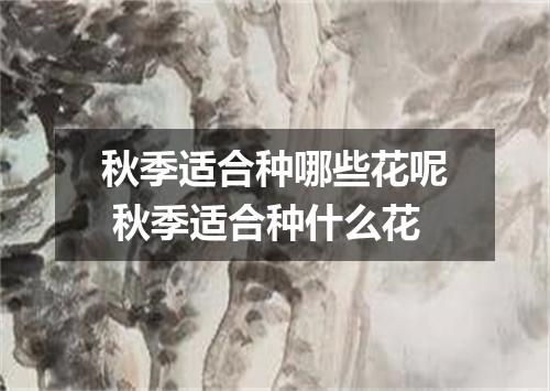 秋季适合种哪些花呢 秋季适合种什么花