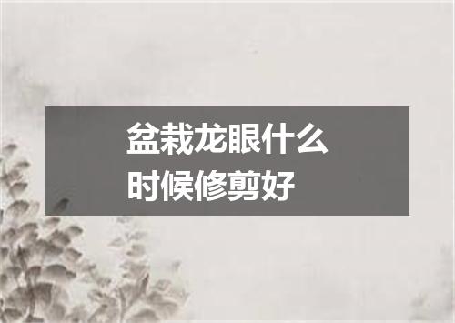 盆栽龙眼什么时候修剪好