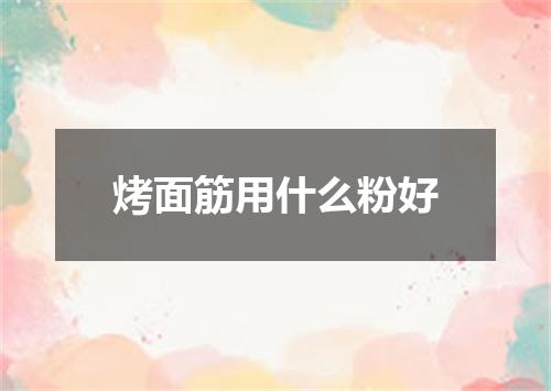 烤面筋用什么粉好