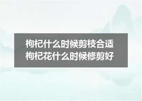 枸杞什么时候剪枝合适 枸杞花什么时候修剪好