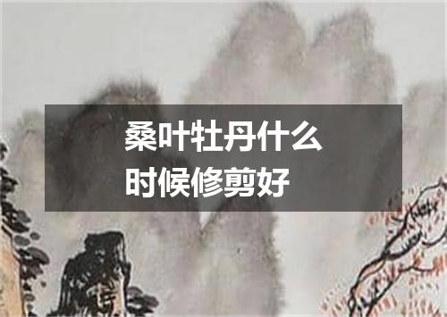 桑叶牡丹什么时候修剪好