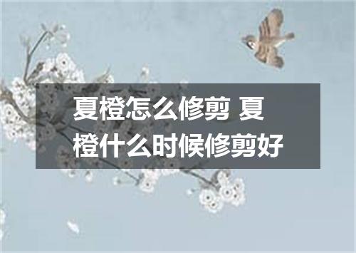 夏橙怎么修剪 夏橙什么时候修剪好