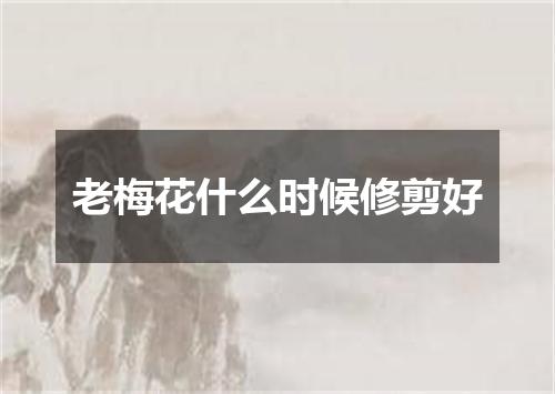 老梅花什么时候修剪好