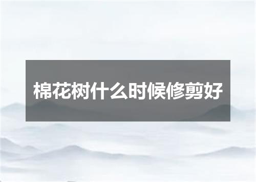 棉花树什么时候修剪好