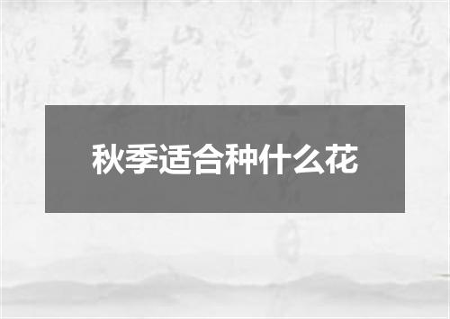 秋季适合种什么花