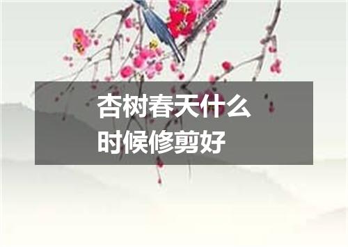 杏树春天什么时候修剪好