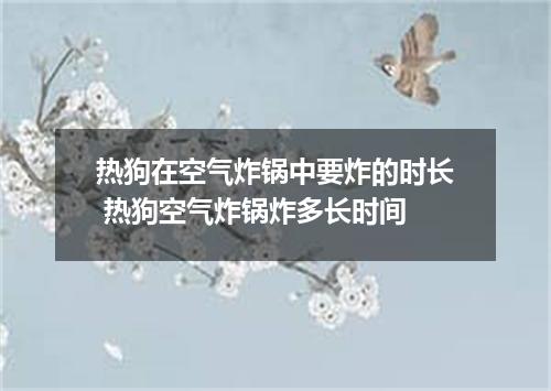 热狗在空气炸锅中要炸的时长 热狗空气炸锅炸多长时间