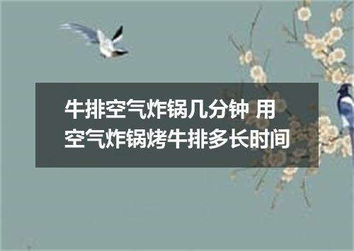 牛排空气炸锅几分钟 用空气炸锅烤牛排多长时间