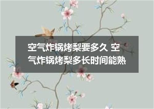 空气炸锅烤梨要多久 空气炸锅烤梨多长时间能熟