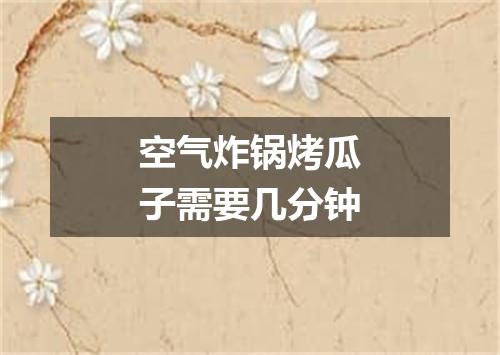 空气炸锅烤瓜子需要几分钟