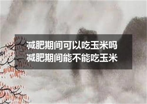 减肥期间可以吃玉米吗 减肥期间能不能吃玉米