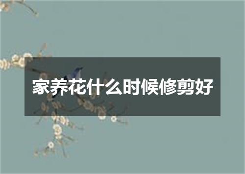 家养花什么时候修剪好