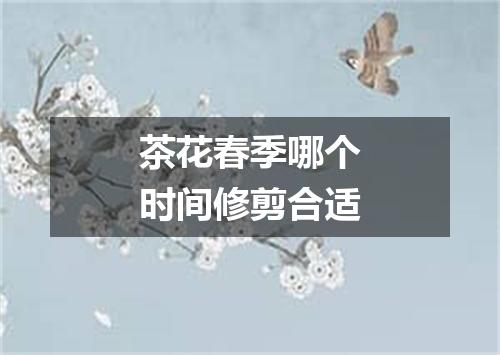 茶花春季哪个时间修剪合适