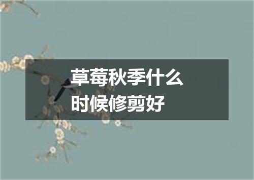 草莓秋季什么时候修剪好