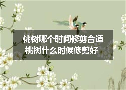 桃树哪个时间修剪合适 桃树什么时候修剪好