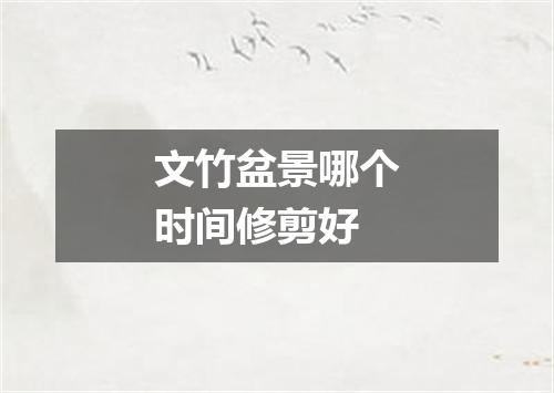 文竹盆景哪个时间修剪好