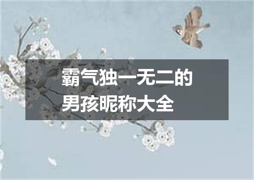 霸气独一无二的男孩昵称大全
