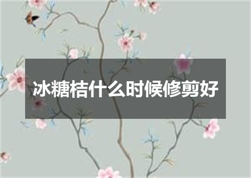 冰糖桔什么时候修剪好