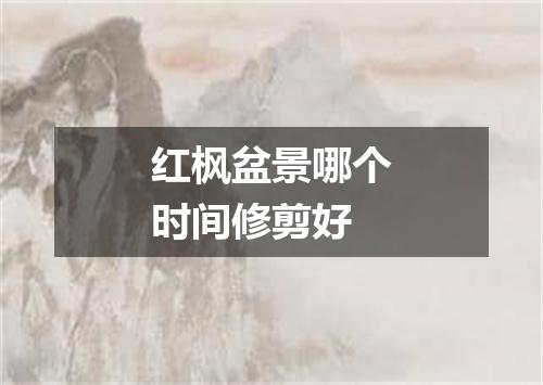 红枫盆景哪个时间修剪好