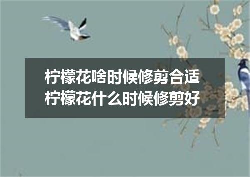 柠檬花啥时候修剪合适 柠檬花什么时候修剪好