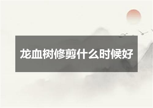 龙血树修剪什么时候好