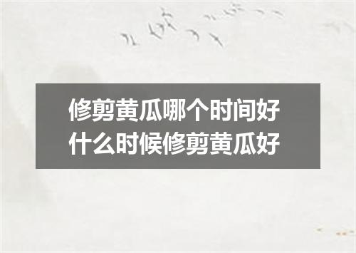 修剪黄瓜哪个时间好 什么时候修剪黄瓜好