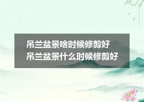 吊兰盆景啥时候修剪好 吊兰盆景什么时候修剪好