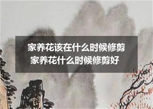 家养花该在什么时候修剪 家养花什么时候修剪好