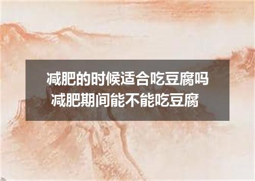 减肥的时候适合吃豆腐吗 减肥期间能不能吃豆腐