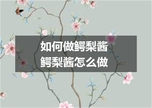 如何做鳄梨酱 鳄梨酱怎么做