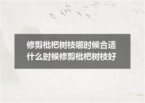 修剪枇杷树枝哪时候合适 什么时候修剪枇杷树枝好