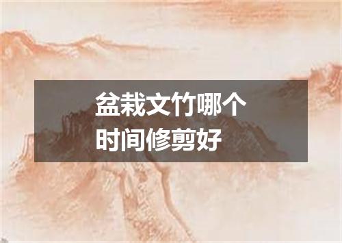 盆栽文竹哪个时间修剪好