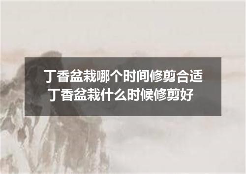 丁香盆栽哪个时间修剪合适 丁香盆栽什么时候修剪好