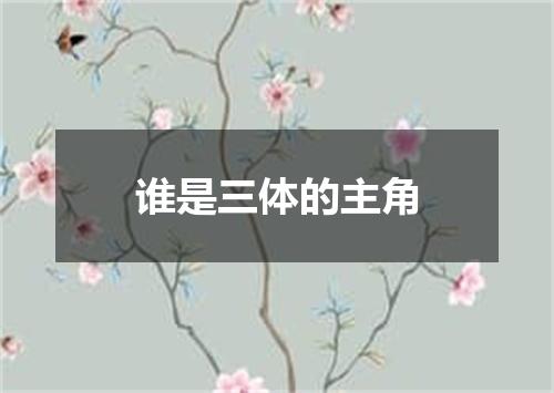 谁是三体的主角