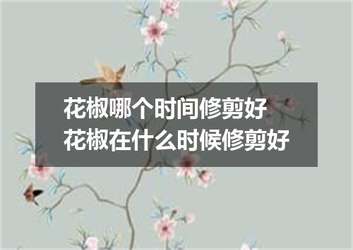 花椒哪个时间修剪好 花椒在什么时候修剪好