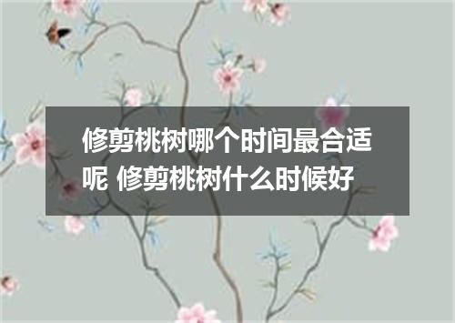 修剪桃树哪个时间最合适呢 修剪桃树什么时候好
