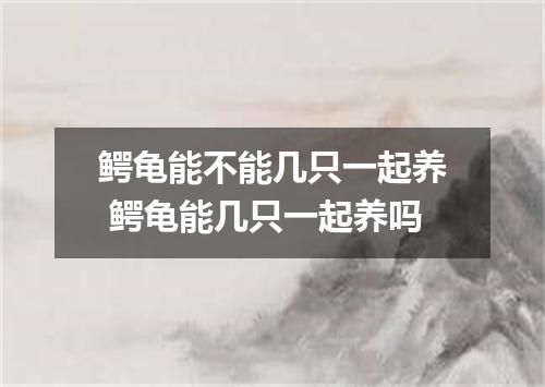 鳄龟能不能几只一起养 鳄龟能几只一起养吗