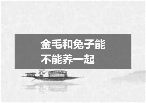 金毛和兔子能不能养一起