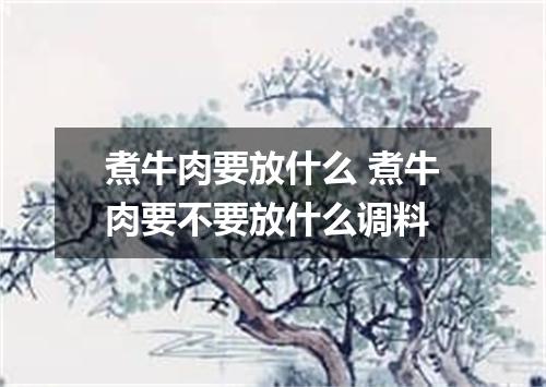 煮牛肉要放什么 煮牛肉要不要放什么调料