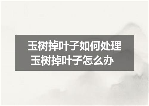 玉树掉叶子如何处理 玉树掉叶子怎么办