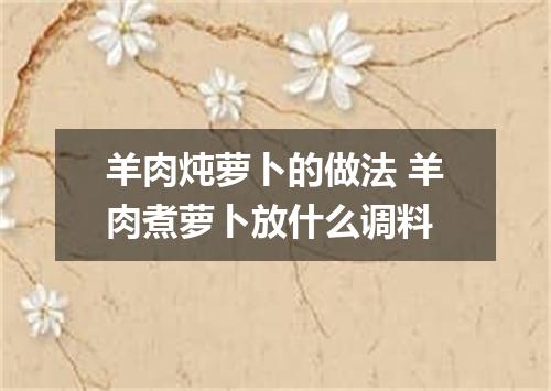 羊肉炖萝卜的做法 羊肉煮萝卜放什么调料