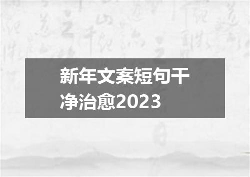 新年文案短句干净治愈2023