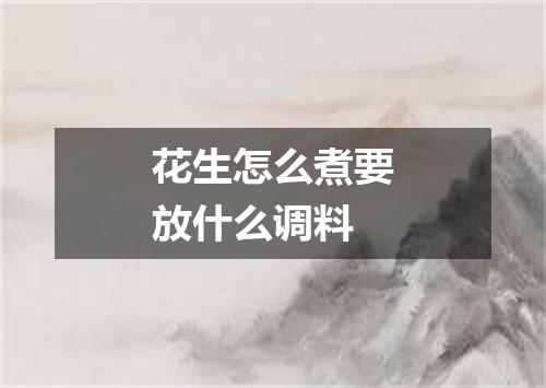 花生怎么煮要放什么调料