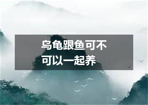 乌龟跟鱼可不可以一起养
