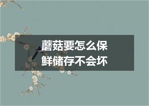蘑菇要怎么保鲜储存不会坏