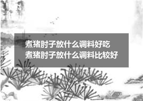 煮猪肘子放什么调料好吃 煮猪肘子放什么调料比较好