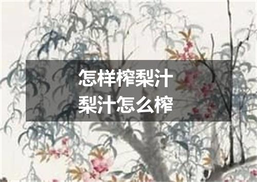 怎样榨梨汁 梨汁怎么榨