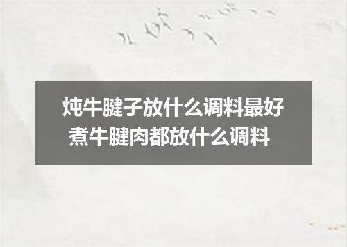 炖牛腱子放什么调料最好 煮牛腱肉都放什么调料