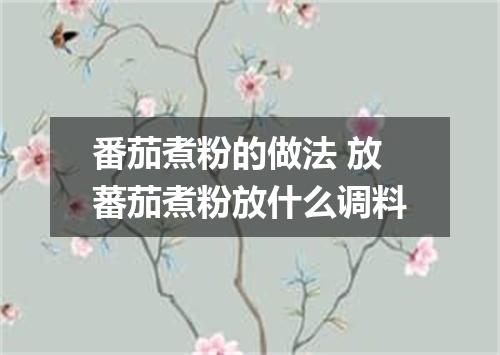 番茄煮粉的做法 放蕃茄煮粉放什么调料