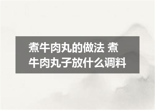 煮牛肉丸的做法 煮牛肉丸子放什么调料